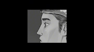 a different version of the princess x knight trend....