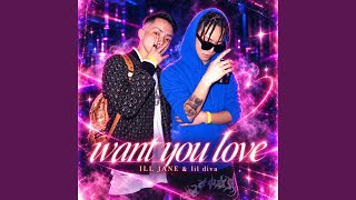 want you love (feat. lil diva) (Preview)
