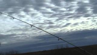 2010 10 19