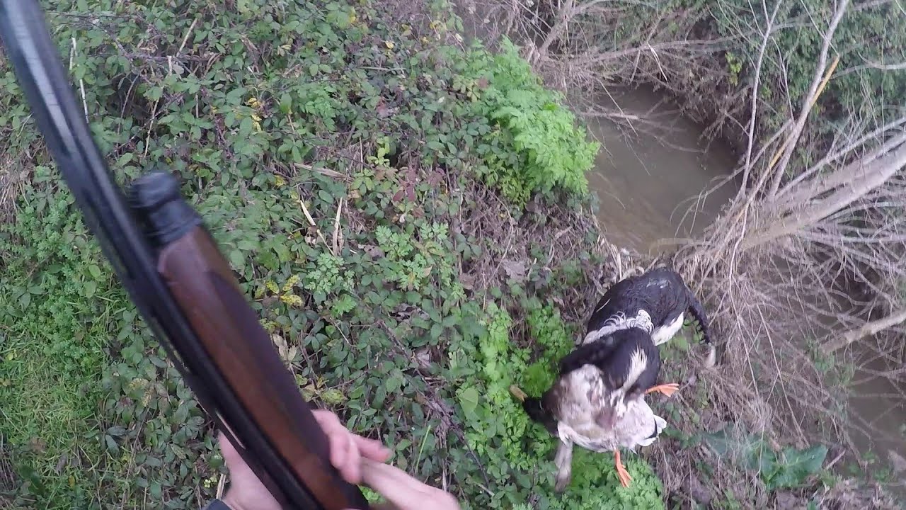 Esche Per Caccia Alle Anatre Telecomandate - Decoy Ad Ala Rotante, Alimentato A Batteria, Realistico