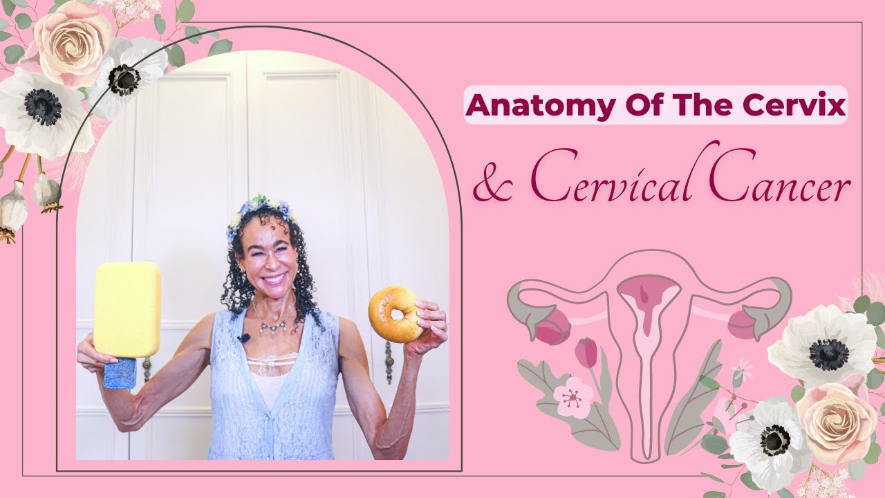 Anatomy Of The Cervix And Cervical Cancer 342 Menopause Taylor Anatomy Of The Cervix And Cervical Cancer 342 Menopause Taylor