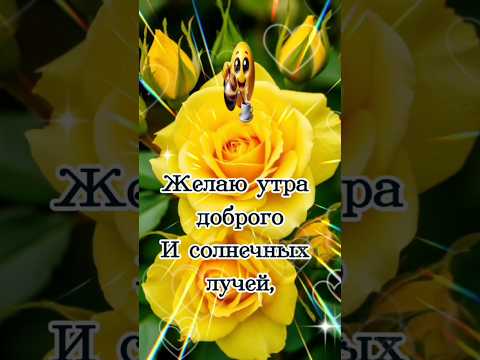 Доброе утро #музыкальныеоткрытки