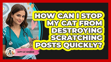 How Can I Stop My Cat From Destroying Scratching Posts Quickly? - Happy Cat Handbook