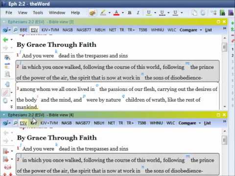 theWord Bible View Part 1