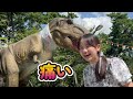 아즈마아키 韓国後援会の皆様と釜山入り シェリトリンド サンタルチアcovered by 東 亜樹 아즈마아키