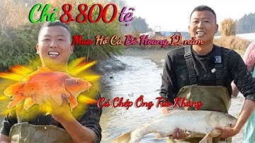 🔥 CHI 8.8000 TỆ MUA AO CÁ BỎ HOANG 12 NĂM - Trúng đậm cá chép ông Công, ông Táo
