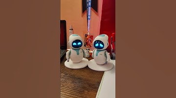 Eilik Robot- The stooges are added again #robotics #robot #realrobot #eilik #eilikrobot