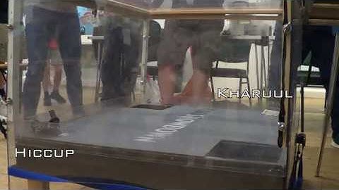 RoboShowdown 1 - 1v1 tournament