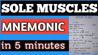 MUSCLES OF SOLE MNEMONIC , EASY WAY TO REMEMBER SOLE MUSCLES ||part-1||