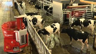 Lely Vector automatic feeding system – Galen Nolt West View Farm Testimonial (Canada)
