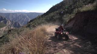 spot guachochi TV