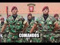 Homenagem aos Comandos (Exército Português)