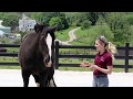 What Keeps You Safe Around Horses