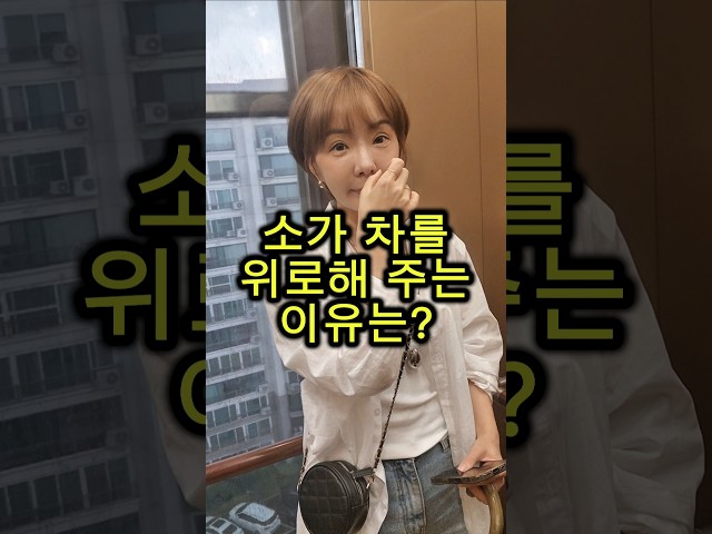소가 차를 위로해 주는 이유는? #웃긴영상 #재밌는영상 #넌센스퀴즈 #아재개그 #유머