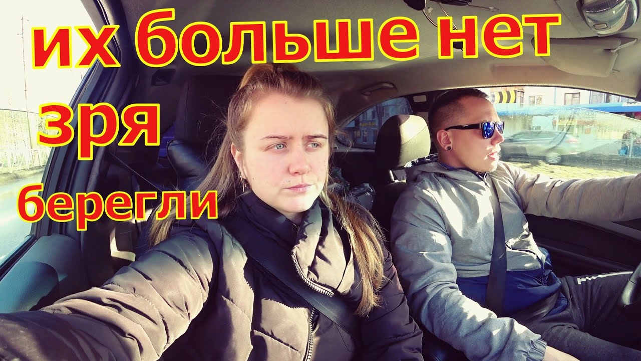 Ильины влог на дзен новое
