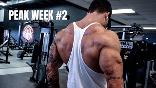 1 WEEK OUT FROM UNIVERSE! / MENTAL UPDATE