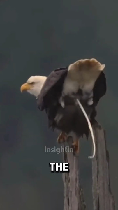 3 Facts About Animals You Didn't Know