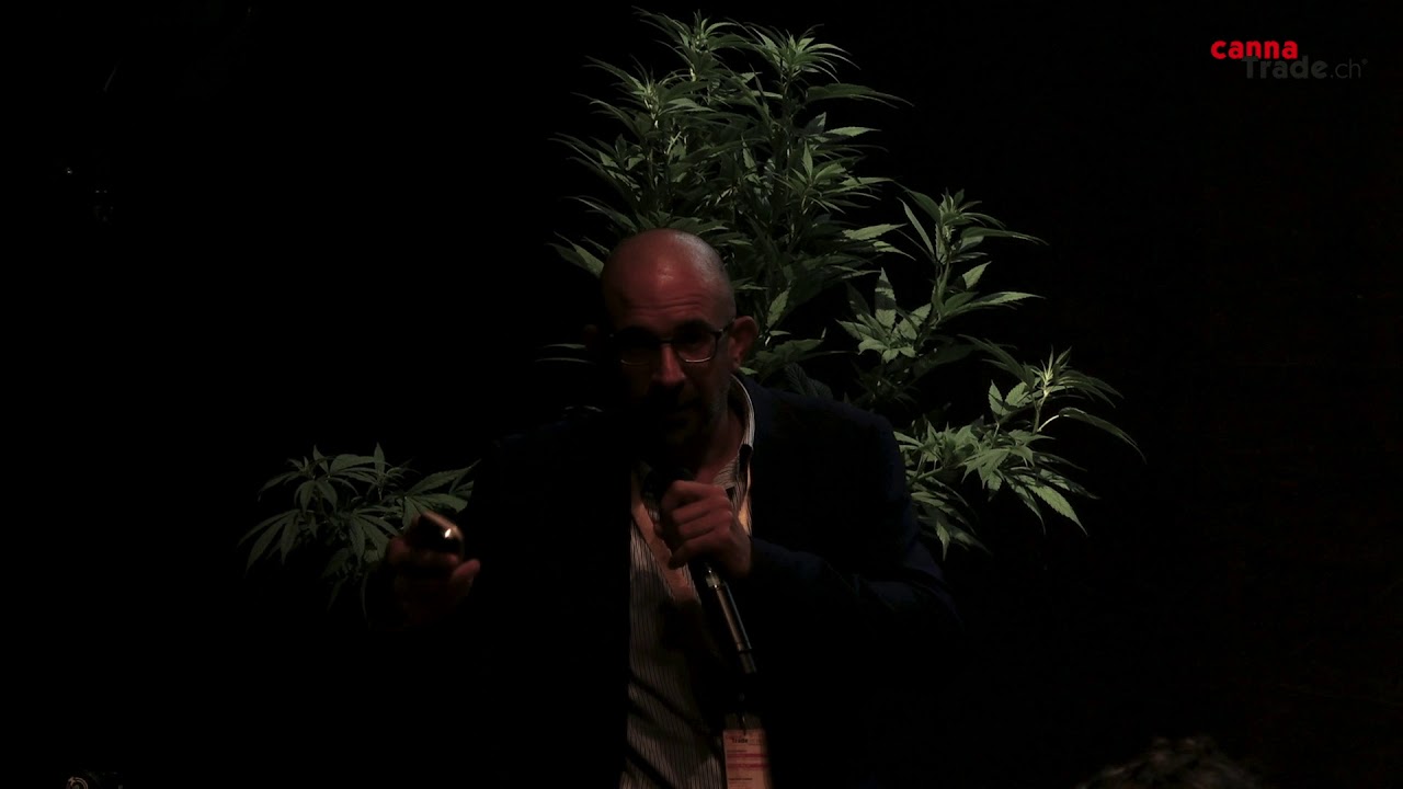 CannaTrade 2019 - Panel: Swiss cannabis politics - challenges and perspectives