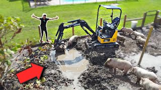 Building MASSIVE MUD PIT for all the PIGS!!!