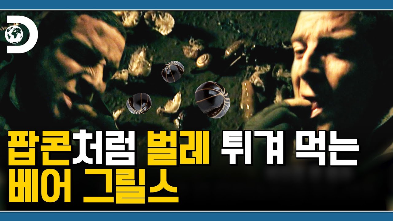 오~ 이 벌레는 새우 맛이 나네요, 빡친 어촌 계장님들 청원 진행 중 베어 그릴스 도시 생존 [Man vs Wild]