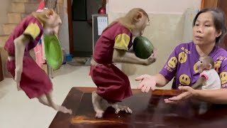 Brother Sovan Very Strong & Smart Jump Fast To Take Watermelon & Plate To Mom For Their Dessert ,