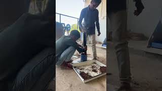 Mdd casting || Mdd test || maximum dry density || Mdd work back report