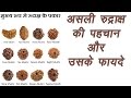 Rudraksh | किस रुद्राक्ष का क्या है फायदा और कैसे पहचाने ? | Types of Rudraksha | Mano Ya Na Mano