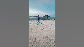tiktok juned avalon
