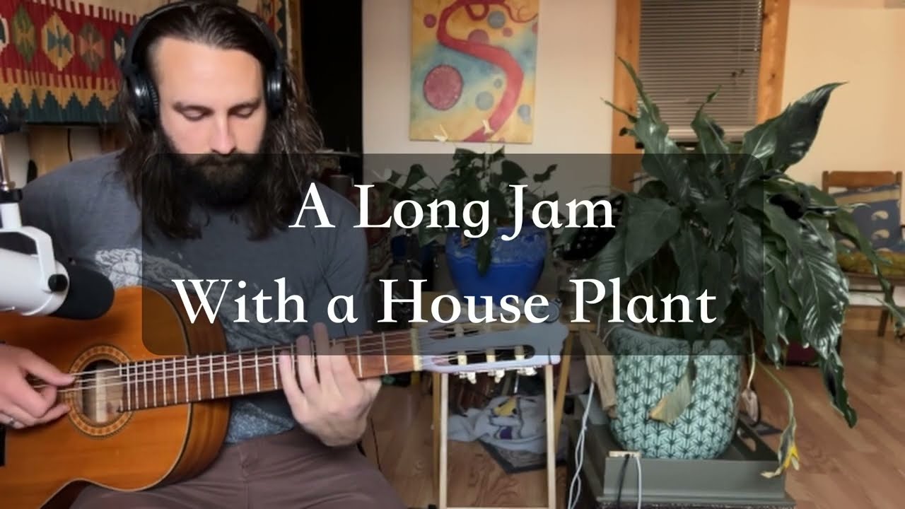 A Long Music Jam With a House Plant And a Nylon String Guitar (A:432hz)