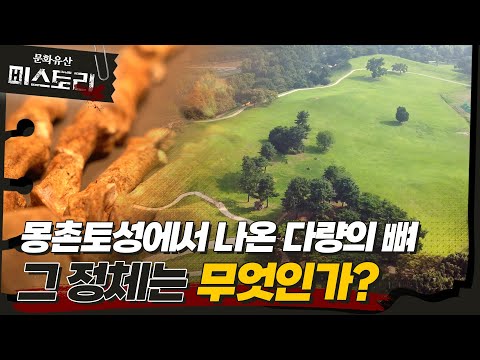 몽촌토성