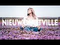 The Brightest Flowers and Cleanest Air in South Africa - Discovering Nieuwoudtville!