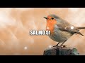 SALMO 51 - Ten piedad de mi - David suplica perdon 📖 SALMO RECITADO LETRA Y MUSICA📖