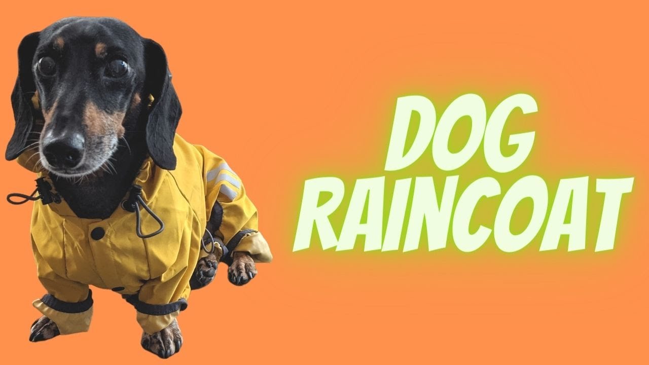 Small Dog Raincoat // Cosibell
