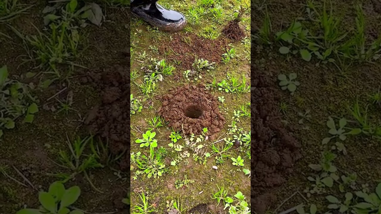 Formas divertidas de jugar con un taladro eléctrico.  