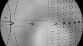 Separation of Main and Satellite Droplets :  Upstream