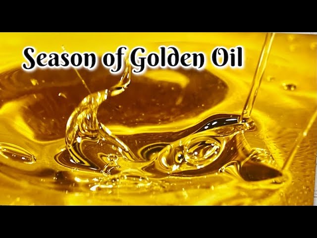 Season of Golden Oil 