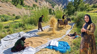 Behnam’s traditional and arduous life as she faces life’s challenges ...