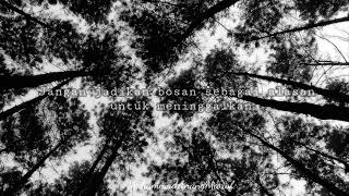 Kenapa bosan|story wa 30 detik