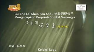 Download Lagu Liu zhe lei shuo fen shou MP3