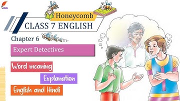 Class 7 English Honeycomb Chapter 6 Expert Detectives Explanation in Hindi and English Medium.