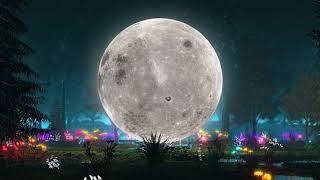 Mon Soleil   Slowedreverb  Dadju X Anitta