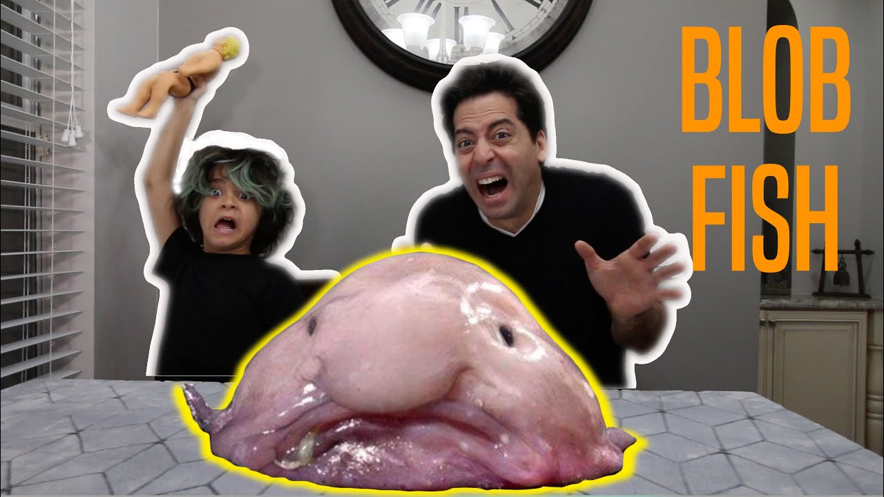 The Blob Fish. The ugliest animal on the YouTube