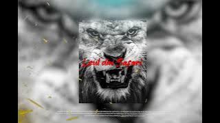 Rodica Olariu & PTRNL - Leul din safari (REMIX)