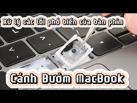 Video: Cách làm lồng ấp tại nhà đơn giản cho gà con