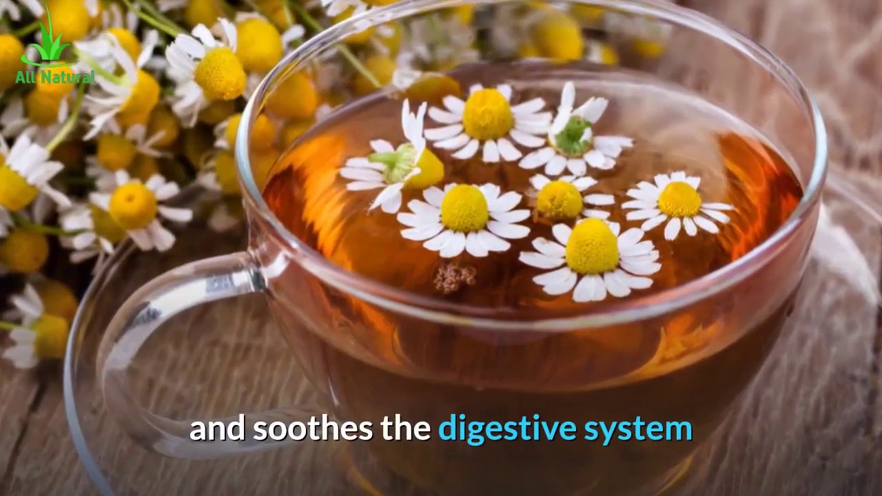 Grow Your Health With Herbs 