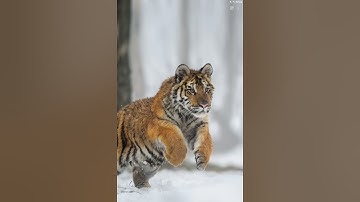 Lockscreen slideshow part 1