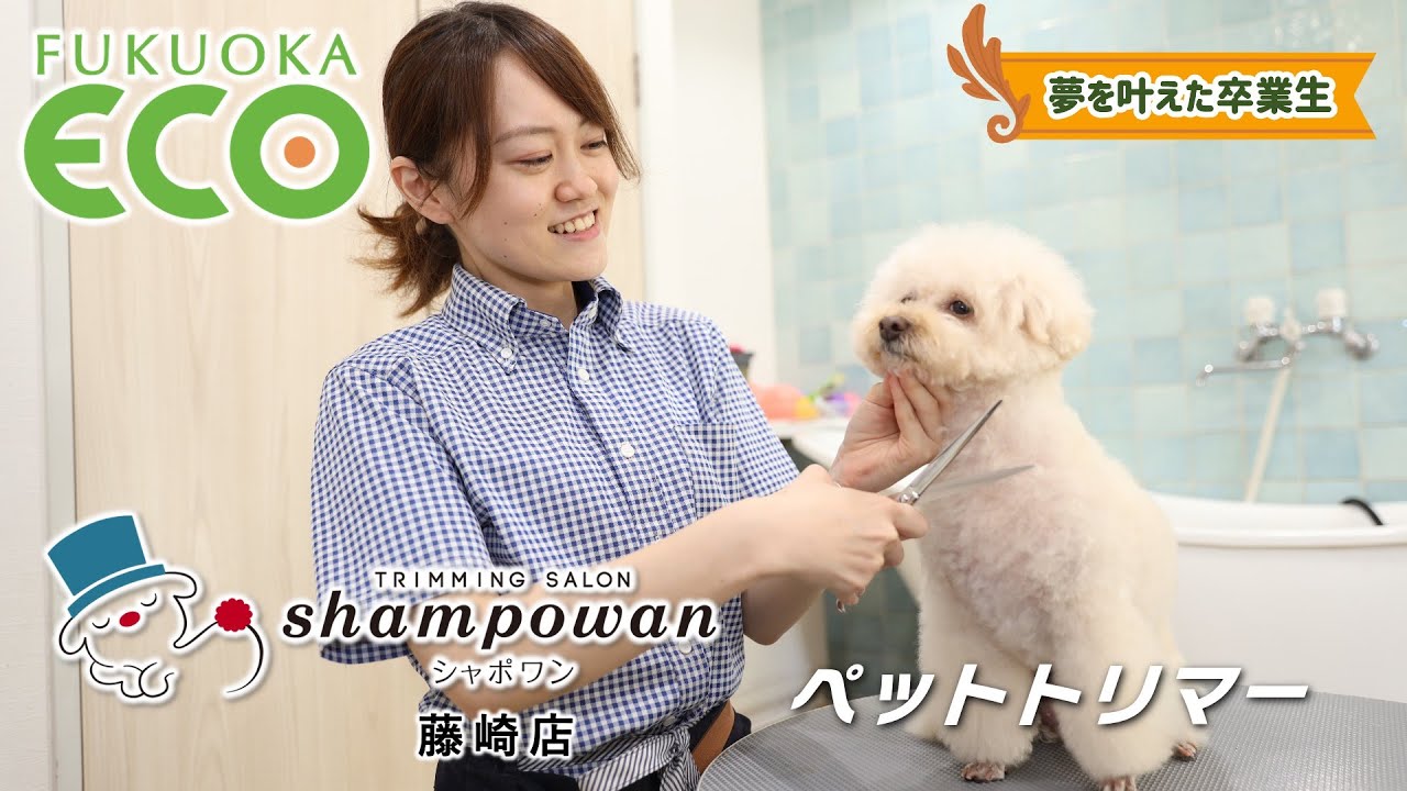 トリマー 専門 学校 福岡