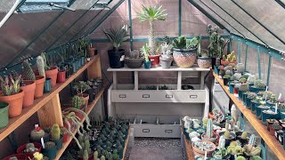 MY BACKYARD GREENHOUSE TOUR. CACTUS, EUPHORBIA, AGAVE FROM SEEDLINGS TO MATURE #plants #diy #cactus