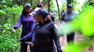 Información Chasing Waterfalls and Ololua Nature Trails Noticias