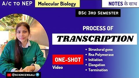 Process of Transcription ||One-Shot || Structural gene,Initiation,Elongation, termination